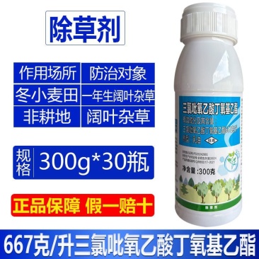 整箱帆邦667三氯吡氧乙酸丁氧基乙酯快速锄非耕地阔叶杂草