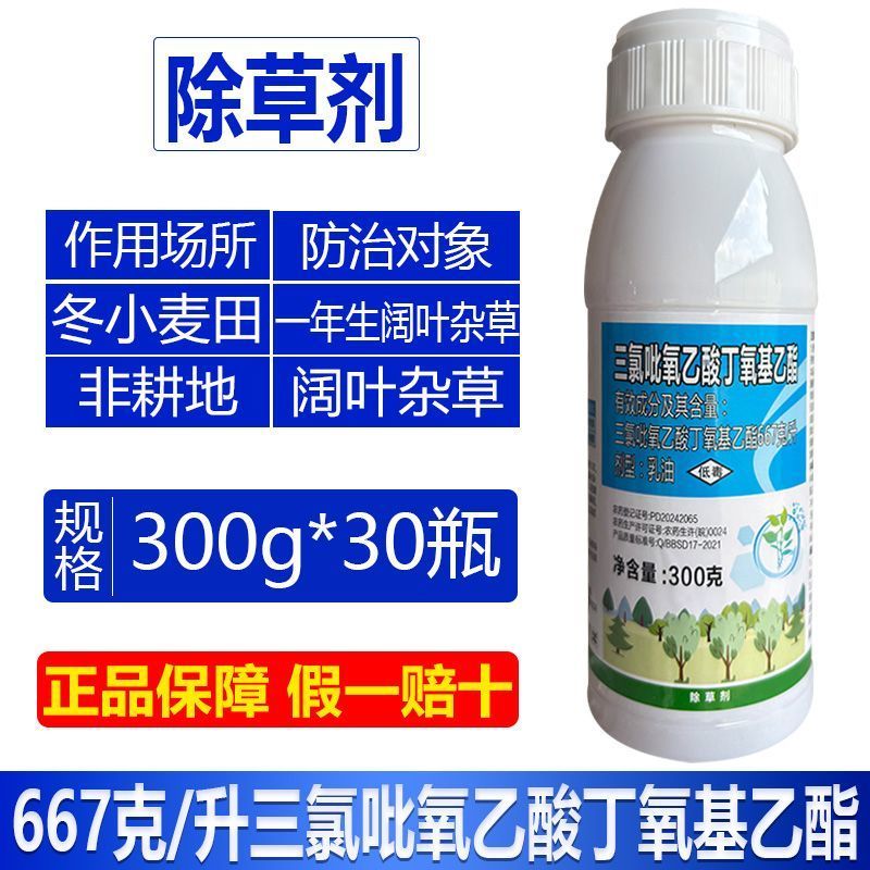 整箱帆邦667三氯吡氧乙酸丁氧基乙酯快速锄非耕地阔叶杂草