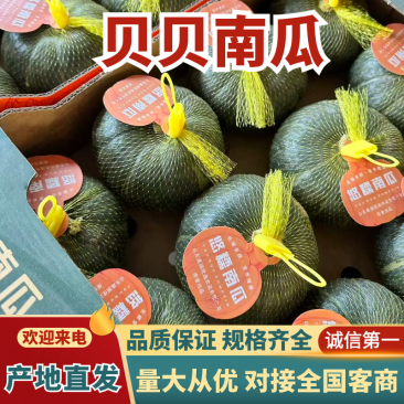 山东潍坊贝贝南瓜核心产区直发可按需配货欢迎来电咨询