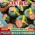 山东潍坊贝贝南瓜核心产区直发可按需配货欢迎来电咨询