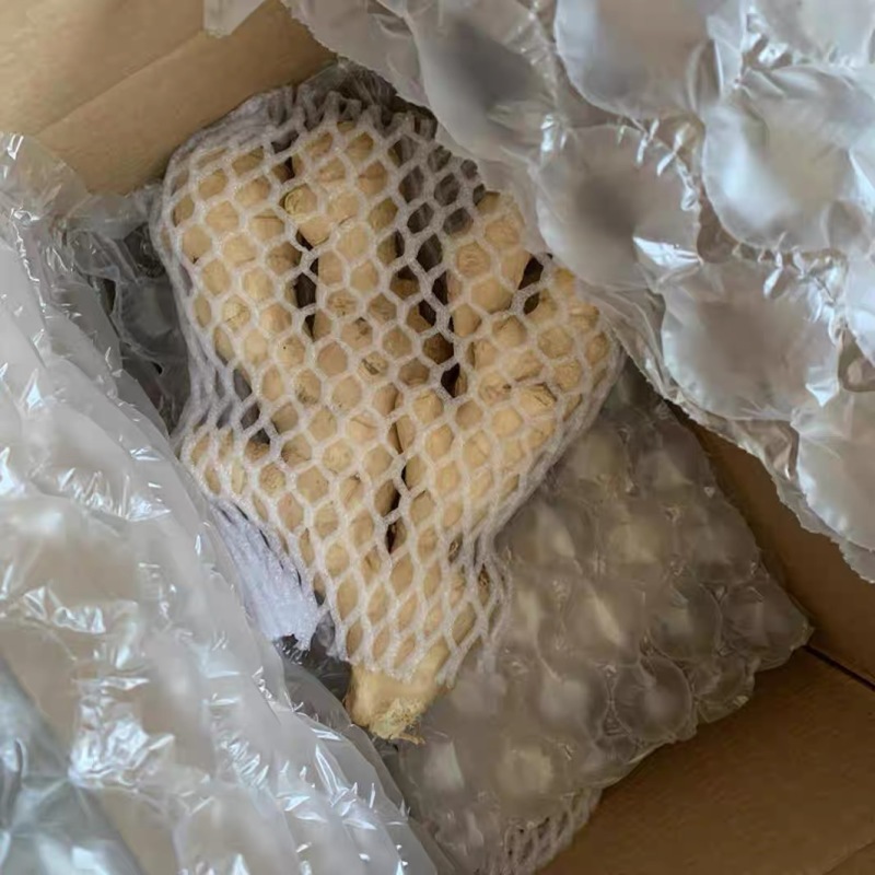 生姜山东生姜大量上市，量大价格从优，可视频看货