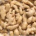 生姜山东生姜大量上市，量大价格从优，可视频看货