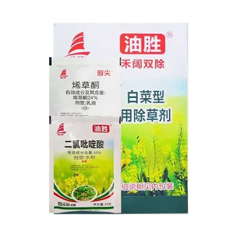 整箱帆邦油胜烯草酮二氯吡啶酸锄油菜田一年生阔叶杂草除草