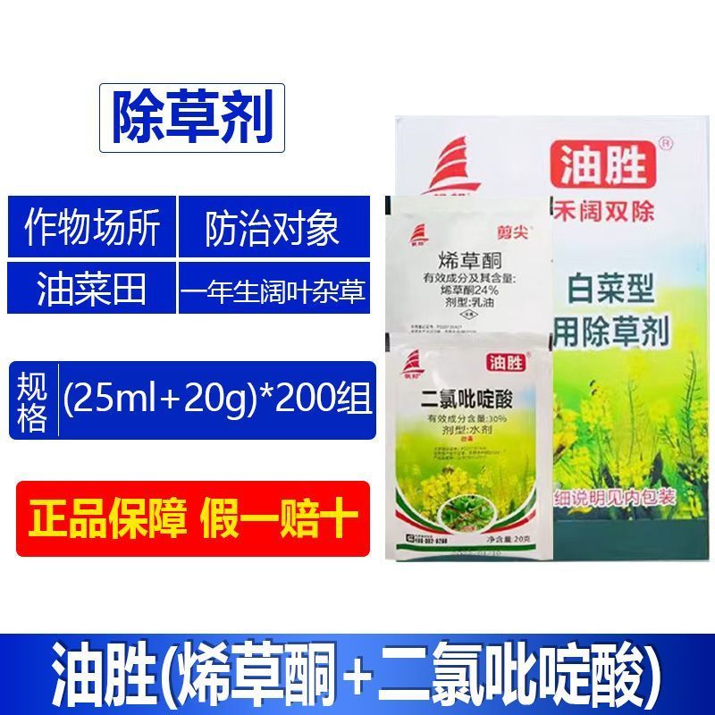 整箱帆邦油胜烯草酮二氯吡啶酸锄油菜田一年生阔叶杂草除草