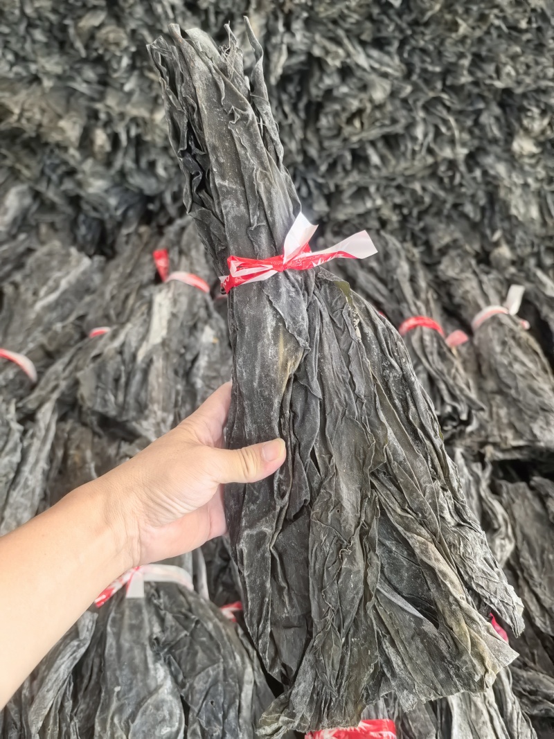 海带头海带头段海带中段海带根海带干货海带片海带块