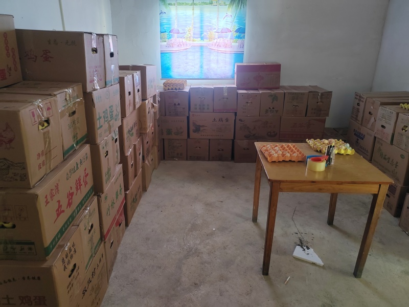 土鸡蛋粉蛋质量上乘价格合理按需包装价优