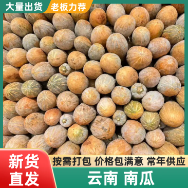 云南高山（南瓜），货发全国，对接各大商超，市场，加工厂
