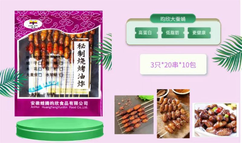 大蚕蛹大个蚕蛹黄蚕蛹高营养高蛋白价格实惠厂家直发酒店商超
