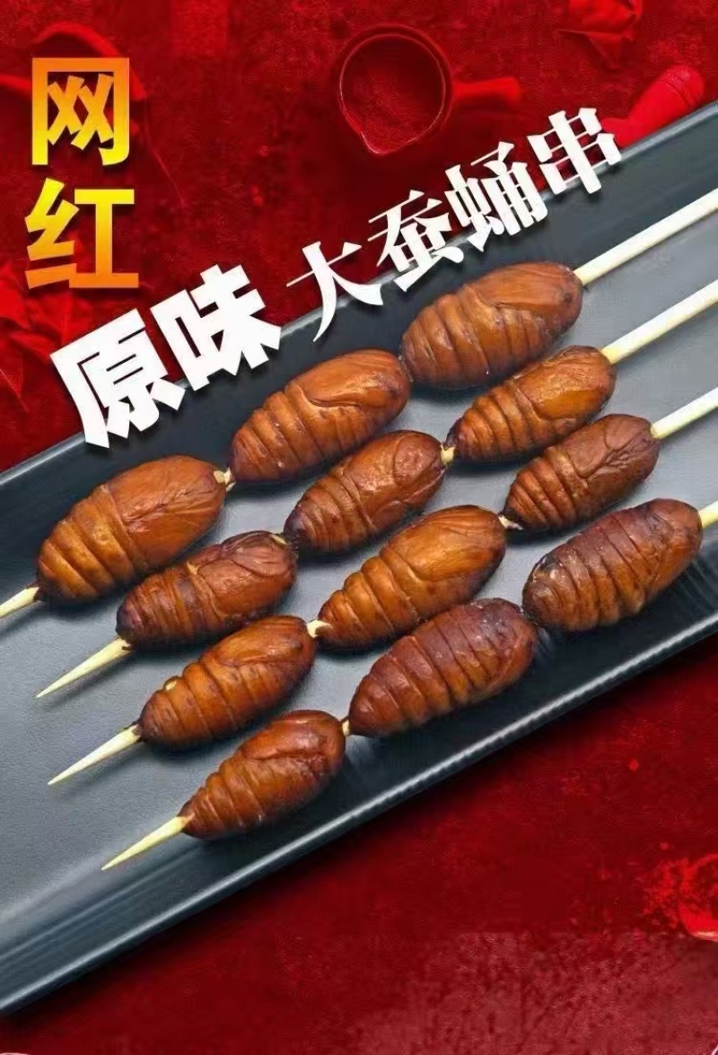 大蚕蛹大个蚕蛹黄蚕蛹高营养高蛋白价格实惠厂家直发酒店商超