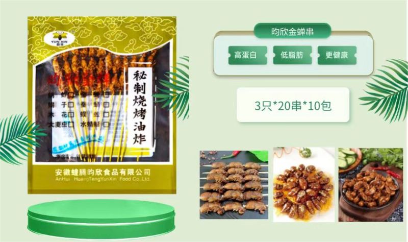 金蝉，爬叉大知了猴冷冻发货现年金蝉价格实惠口感佳长期供货