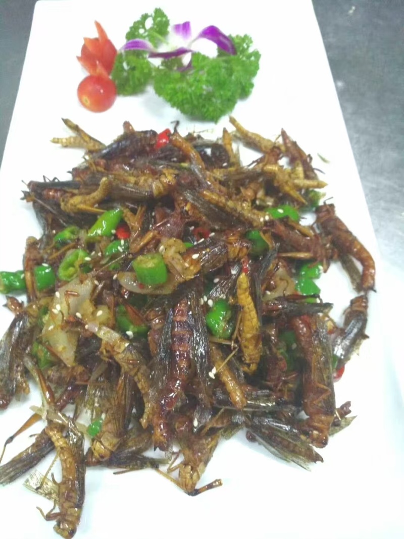 蚂蚱蝗虫高蛋白低脂肪肉质松软营养高可油炸烹饪凉拌