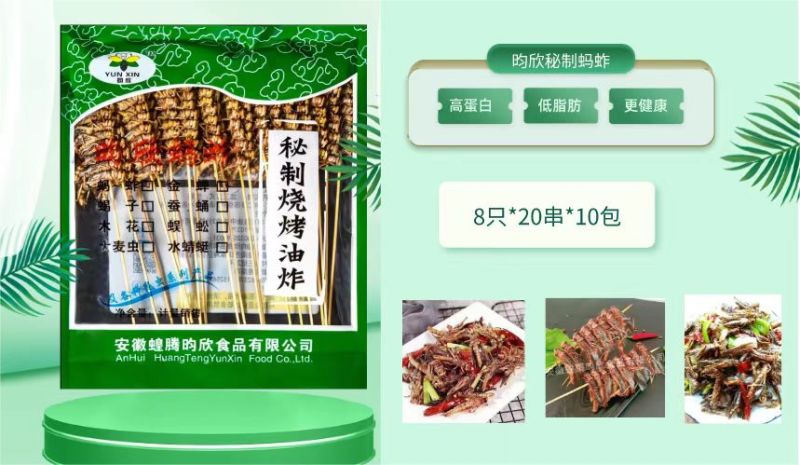 蚂蚱蝗虫高蛋白低脂肪肉质松软营养高可油炸烹饪凉拌
