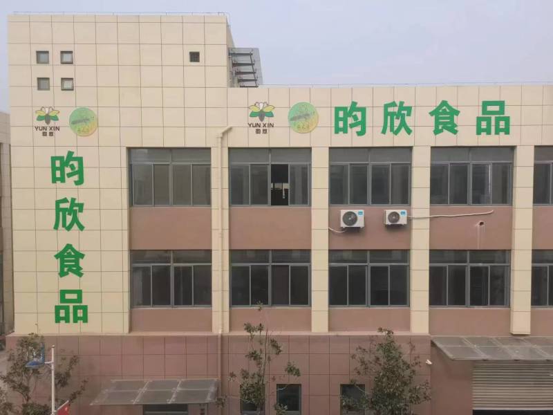 蚂蚱蝗虫高蛋白低脂肪肉质松软营养高可油炸烹饪凉拌