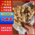 山东大黄姜二黄姜小黄姜精品红牙鲜姜姜母大量上市