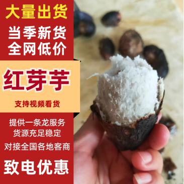 精品芋头红芽芋，新鲜现货现摘，产地直发品质保证，量大从优