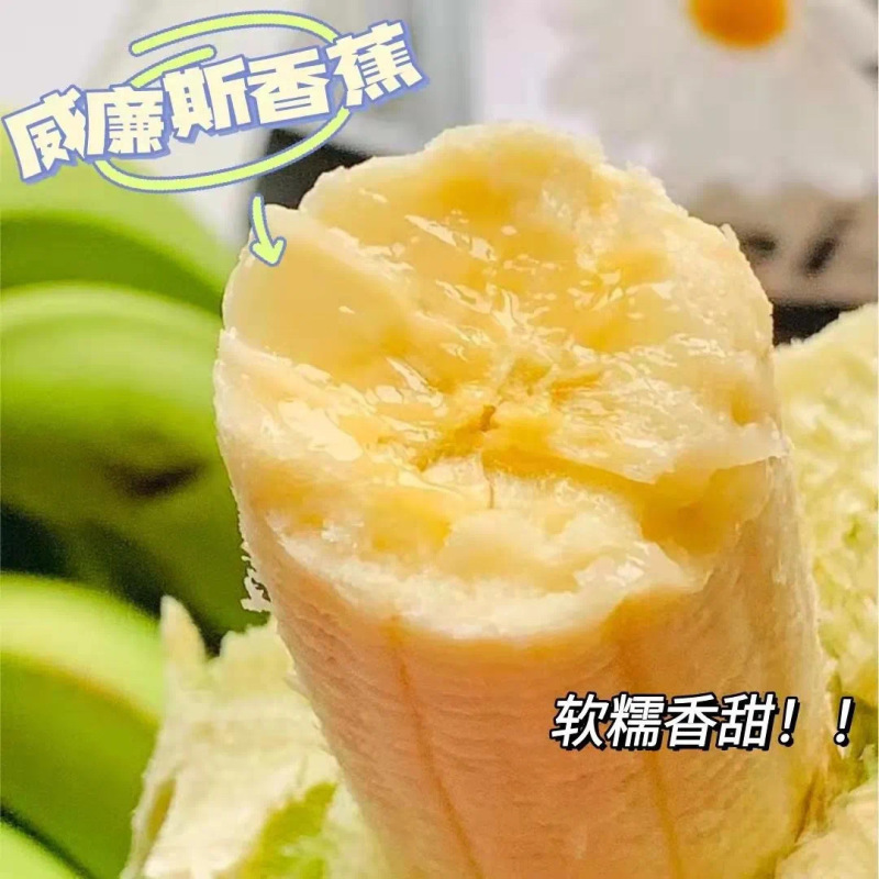【当季西双版纳威廉斯香蕉】软糯香甜现砍现发9斤新鲜水果代