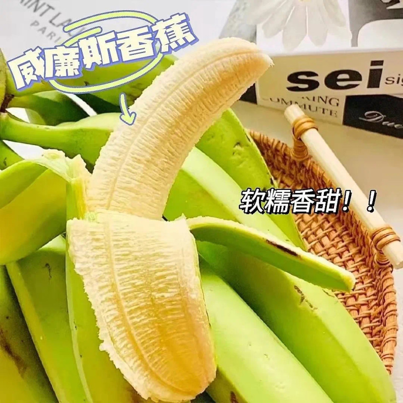 【当季西双版纳威廉斯香蕉】软糯香甜现砍现发9斤新鲜水果代