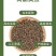 紫苏子紫苏种子紫苏叶种籽盆栽可食用种植苗四季籽种蔬菜孑苏