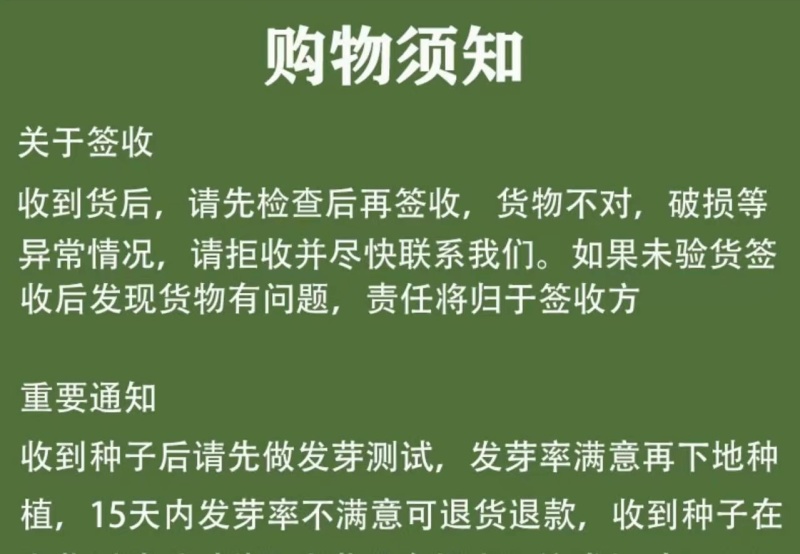 紫苏子紫苏种子紫苏叶种籽盆栽可食用种植苗四季籽种蔬菜孑苏