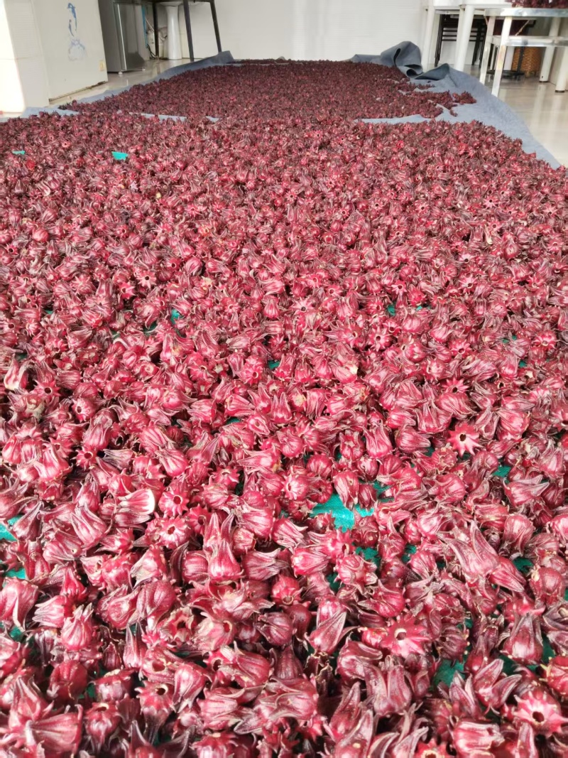 洛神花、玫瑰茄干货大量上市，可视频看货，一件代发批发