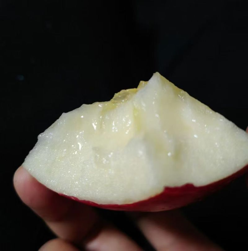【正宗天水苹果】新鲜应季高山溏心脆甜果皮微瑕红富士原产地