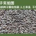 紫苏子紫苏种子紫苏叶种籽盆栽可食用种植苗四季籽种蔬菜孑苏