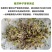 紫苏子紫苏种子紫苏叶种籽盆栽可食用种植苗四季籽种蔬菜孑苏