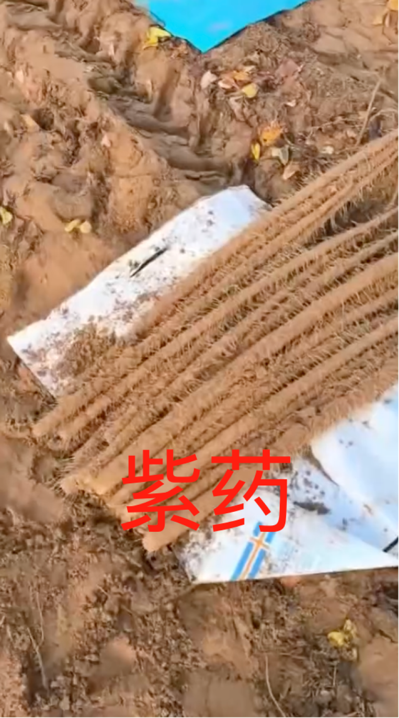 山药紫药大量有货对接市场档口欢迎咨询