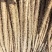 山药紫药大量有货对接市场档口欢迎咨询