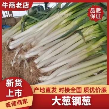 【精品】山东大葱/钢葱/一手货源/量大从优/品质保证