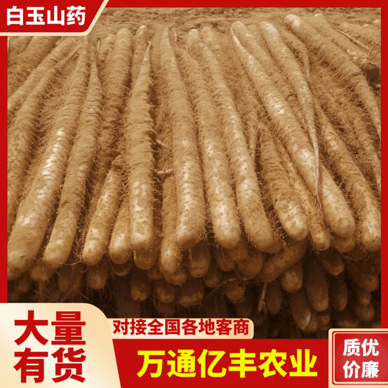 【售后无忧】榆林精品白玉山药产地直发可视频看货，欢迎