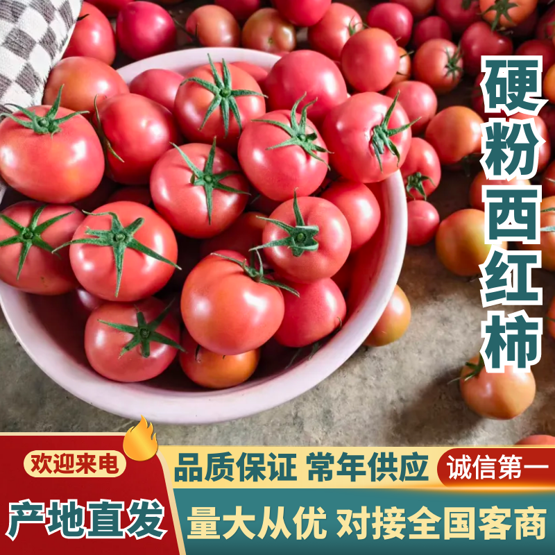 硬粉西红柿云南西红柿货源充足品质保障按需包装