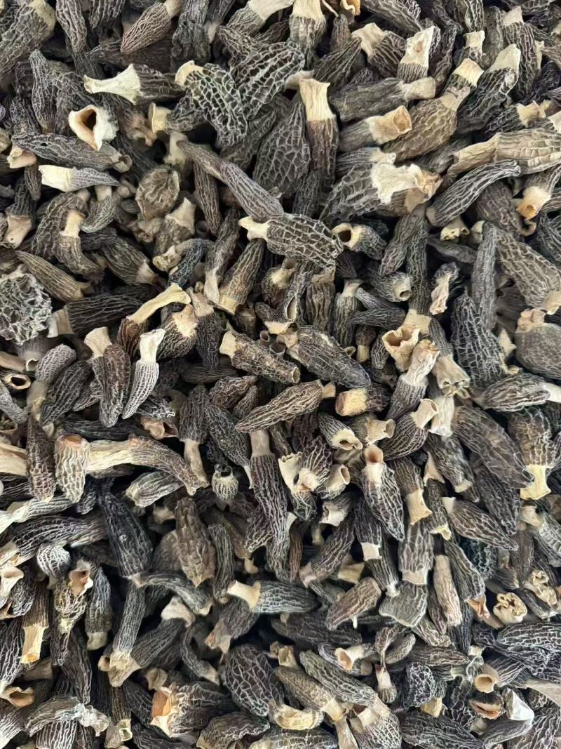 【精选】羊肚菌干货剪柄去泥肉质细嫩营养丰富欢迎咨询选购