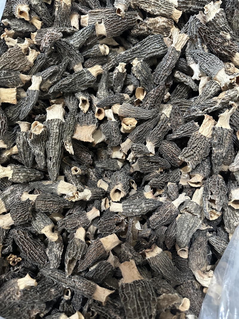 【精选】羊肚菌干货剪柄去泥肉质细嫩营养丰富欢迎咨询选购