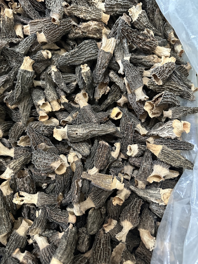 【精选】羊肚菌干货剪柄去泥肉质细嫩营养丰富欢迎咨询选购