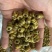 霍山铁皮石斛枫斗产地直发5年种植石斛枫斗