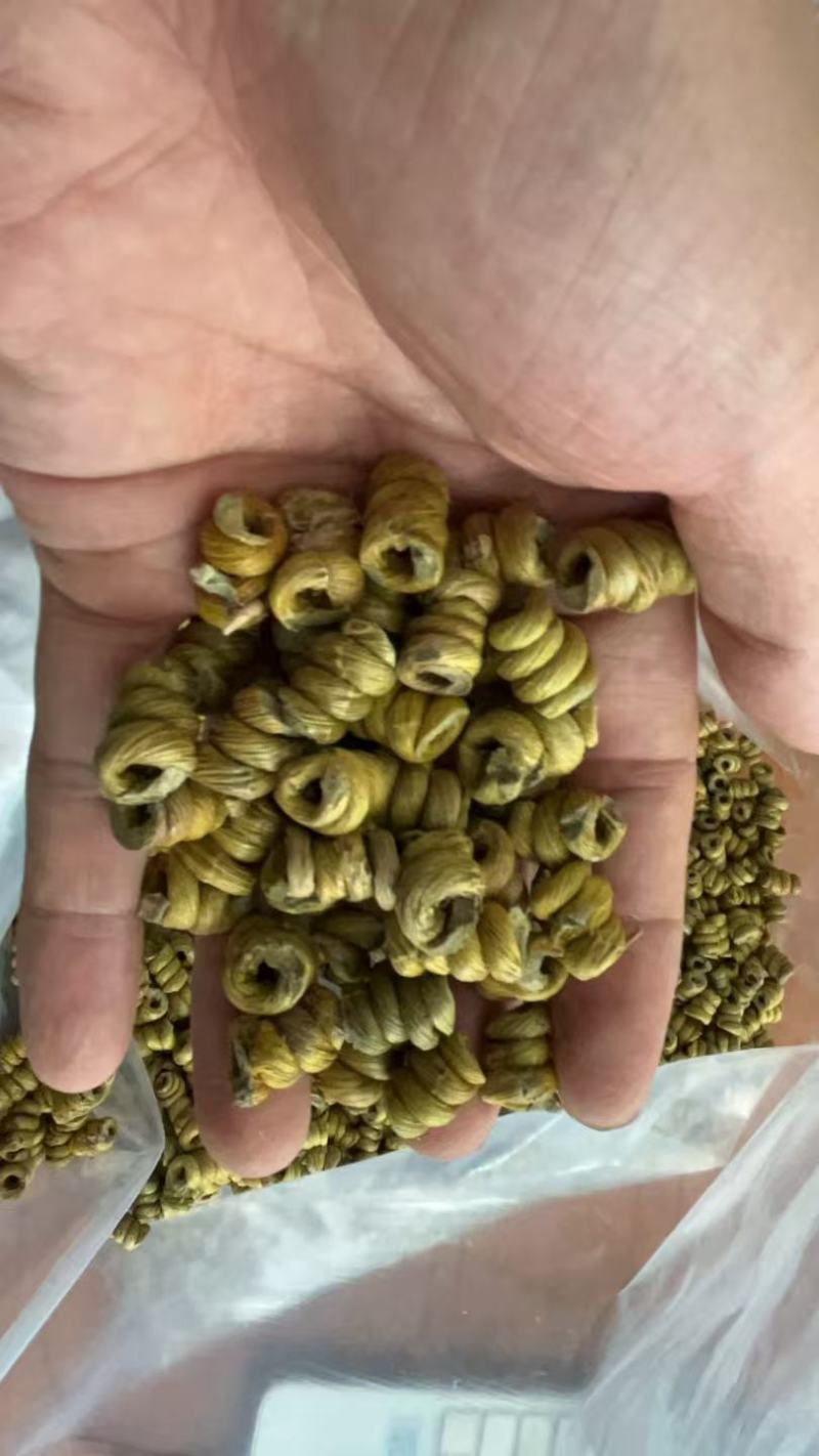 霍山铁皮石斛枫斗产地直发5年种植石斛枫斗