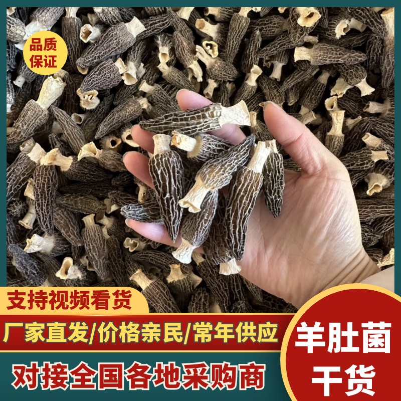 【精选】羊肚菌干货剪柄去泥肉质细嫩营养丰富欢迎咨询选购