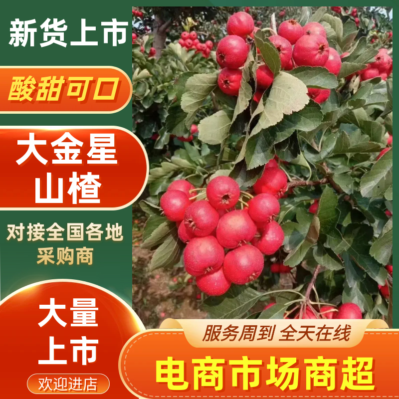 冠县山楂打浆果切片果产地一手货源保质保量