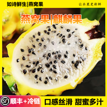 云南版纳大果园基地，燕窝果精品果A果市场精品A果甜度好