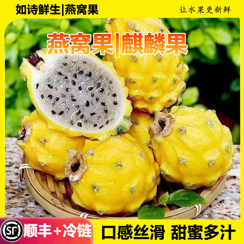 云南版纳大果园基地，燕窝果精品果A果市场精品A果甜度好