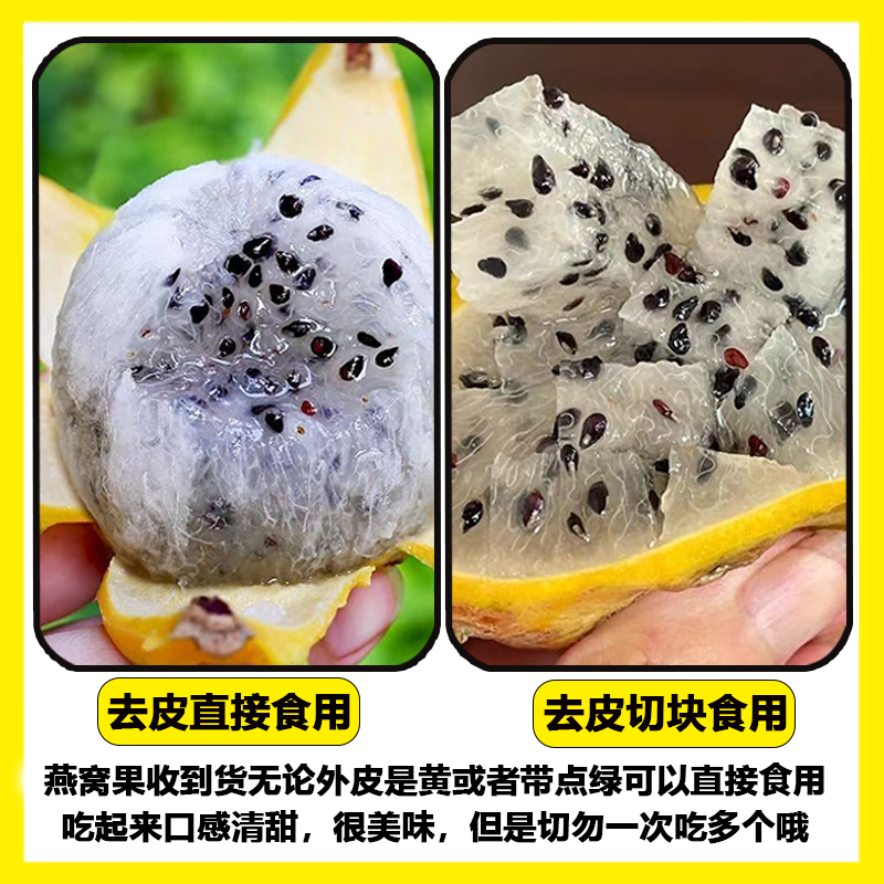云南版纳大果园基地，燕窝果精品果A果市场精品A果甜度好