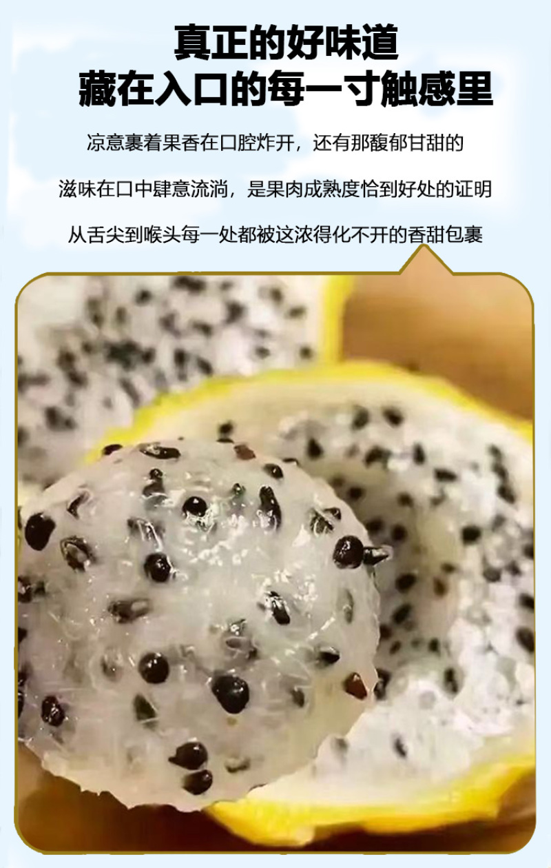 云南版纳大果园基地，燕窝果精品果A果市场精品A果甜度好