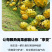 云南版纳大果园基地，燕窝果精品果A果市场精品A果甜度好