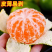 陕西汉中蜜桔早熟蜜桔产地直发诚信做事质量保障货源充足
