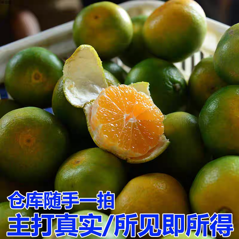 四川蜜橘大量现货供应，现摘现发，规格齐全，可视频看货