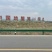大闸蟹幼苗，蟹苗，大母本螃蟹苗，扣蟹苗，产地直发