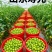 **红色小番茄产地直供批发新鲜看得见货源稳定