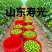 **红色小番茄产地直供批发新鲜看得见货源稳定