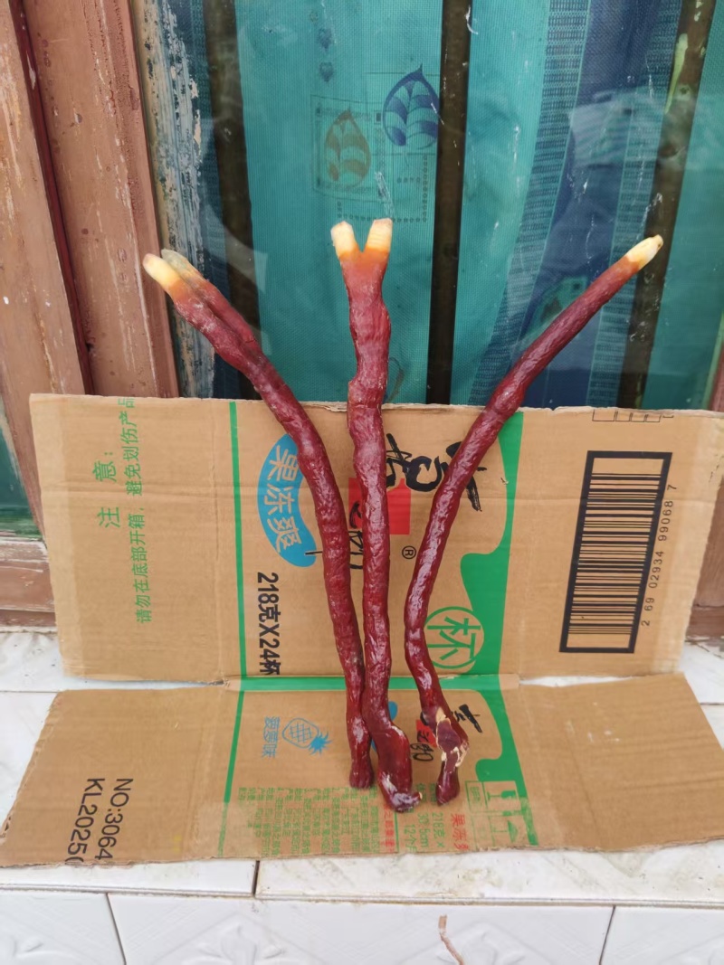贵州中药菌藻类/鹿角灵芝/规格齐全/量大价优/欢迎咨询